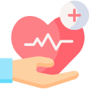 Health Care Provider